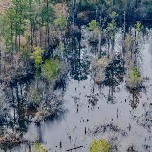 Photo #37 of Off of Woodwind Dr, Vass, NC 134.5 acres