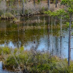 Photo #45 of Off of Woodwind Dr, Vass, NC 134.5 acres