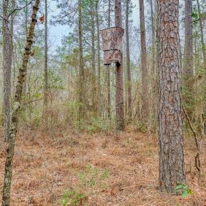 Photo #13 of Off of Woodwind Dr, Vass, NC 134.5 acres