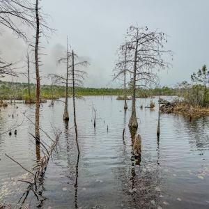 Photo #14 of Off of Woodwind Dr, Vass, NC 134.5 acres