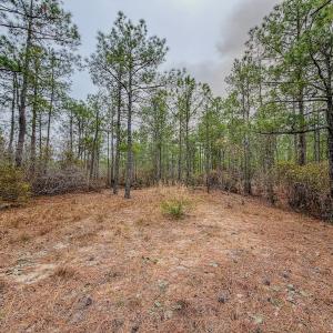 Photo #17 of Off of Woodwind Dr, Vass, NC 134.5 acres