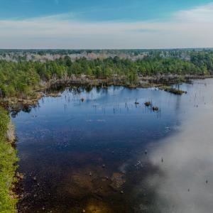 Photo #18 of Off of Woodwind Dr, Vass, NC 134.5 acres