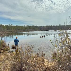 Photo #19 of Off of Woodwind Dr, Vass, NC 134.5 acres