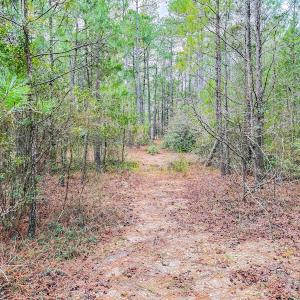 Photo #21 of Off of Woodwind Dr, Vass, NC 134.5 acres