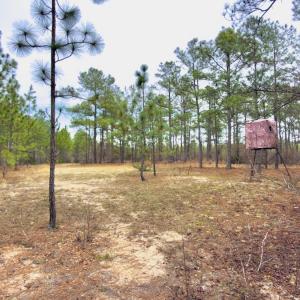 Photo #27 of Off of Woodwind Dr, Vass, NC 134.5 acres