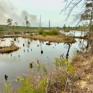 Photo #28 of Off of Woodwind Dr, Vass, NC 134.5 acres