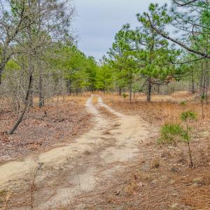 Photo #3 of Off of Woodwind Dr, Vass, NC 134.5 acres