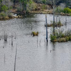 Photo #30 of Off of Woodwind Dr, Vass, NC 134.5 acres