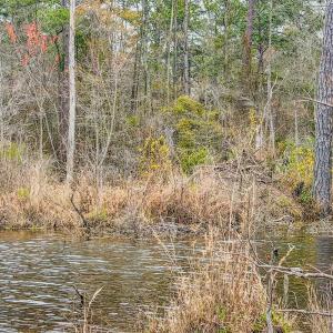 Photo #36 of Off of Woodwind Dr, Vass, NC 134.5 acres