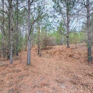 Photo #5 of Off of Woodwind Dr, Vass, NC 134.5 acres