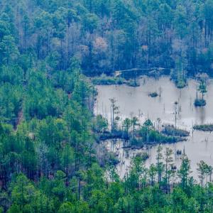 Photo #44 of Off of Woodwind Dr, Vass, NC 134.5 acres