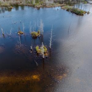 Photo #45 of Off of Woodwind Dr, Vass, NC 134.5 acres