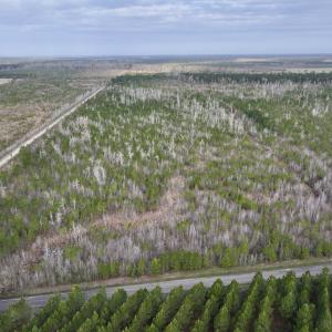 Photo #1 of Lot 5 Guinea Mill Rd, Ernul, NC 37.0 acres