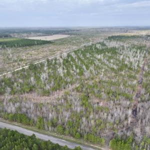 Photo #2 of Lot 5 Guinea Mill Rd, Ernul, NC 37.0 acres