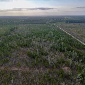 Photo #5 of Lot 5 Guinea Mill Rd, Ernul, NC 37.0 acres