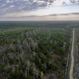 Photo #6 of Lot 5 Guinea Mill Rd, Ernul, NC 37.0 acres