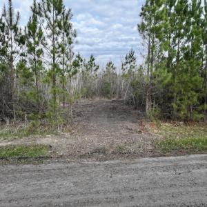 Photo #13 of Lot 5 Guinea Mill Rd, Ernul, NC 37.0 acres