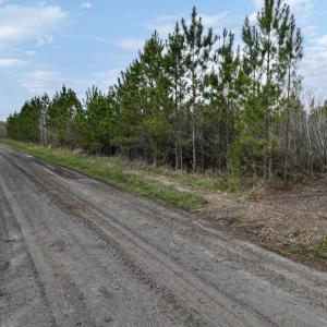 Photo #14 of Lot 5 Guinea Mill Rd, Ernul, NC 37.0 acres