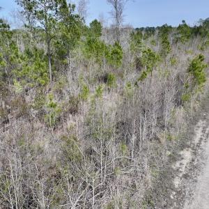 Photo #23 of Lot 5 Guinea Mill Rd, Ernul, NC 37.0 acres