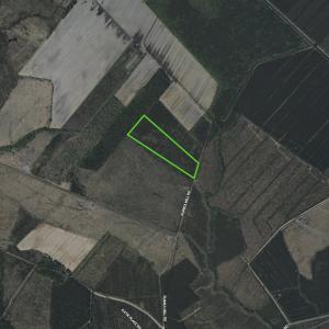 Photo #25 of Lot 5 Guinea Mill Rd, Ernul, NC 37.0 acres