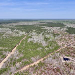 Photo #11 of Lot 15 Guinea Mill Rd, Ernul, NC 55.0 acres