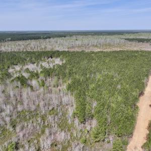 Photo #14 of Lot 15 Guinea Mill Rd, Ernul, NC 55.0 acres