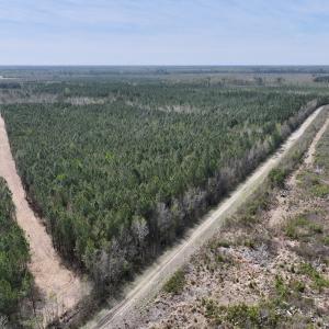Photo #15 of Lot 15 Guinea Mill Rd, Ernul, NC 55.0 acres