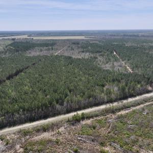 Photo #1 of Lot 15 Guinea Mill Rd, Ernul, NC 55.0 acres