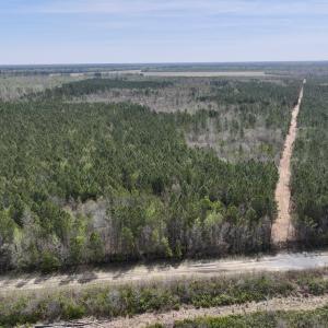 Photo #2 of Lot 15 Guinea Mill Rd, Ernul, NC 55.0 acres