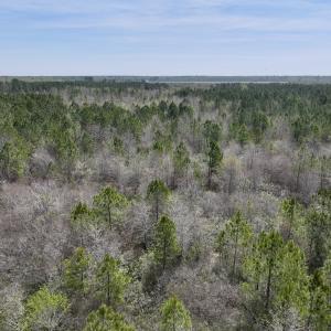 Photo #5 of Lot 15 Guinea Mill Rd, Ernul, NC 55.0 acres