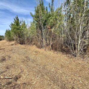 Photo #21 of Lot 15 Guinea Mill Rd, Ernul, NC 55.0 acres