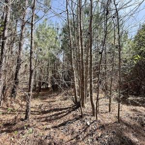 Photo #22 of Lot 15 Guinea Mill Rd, Ernul, NC 55.0 acres