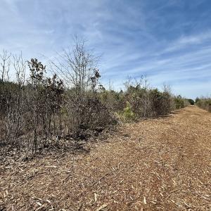 Photo #23 of Lot 15 Guinea Mill Rd, Ernul, NC 55.0 acres