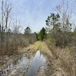 Photo #25 of Lot 15 Guinea Mill Rd, Ernul, NC 55.0 acres