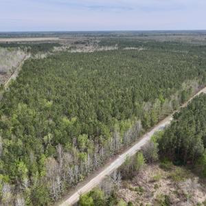 Photo #1 of Lot 23 Guinea Mill Rd, Ernul, NC 25.0 acres