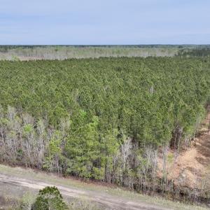 Photo #3 of Lot 23 Guinea Mill Rd, Ernul, NC 25.0 acres