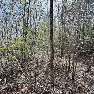 Photo #20 of Lot 23 Guinea Mill Rd, Ernul, NC 25.0 acres