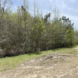 Photo #21 of Lot 23 Guinea Mill Rd, Ernul, NC 25.0 acres