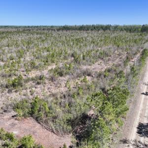 Photo #13 of Lot 11 Guinea Mill Rd, Ernul, NC 35.0 acres