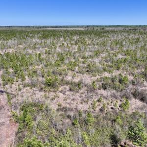 Photo #14 of Lot 11 Guinea Mill Rd, Ernul, NC 35.0 acres