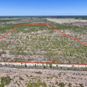 Photo #15 of Lot 11 Guinea Mill Rd, Ernul, NC 35.0 acres