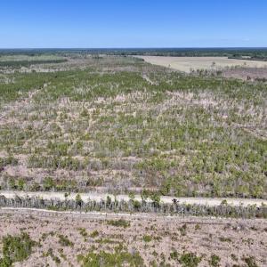 Photo #1 of Lot 11 Guinea Mill Rd, Ernul, NC 35.0 acres