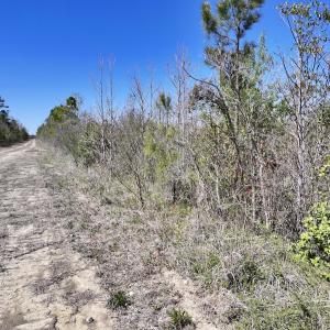 Photo #2 of Lot 11 Guinea Mill Rd, Ernul, NC 35.0 acres
