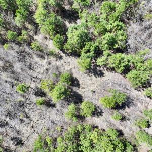 Photo #5 of Lot 11 Guinea Mill Rd, Ernul, NC 35.0 acres