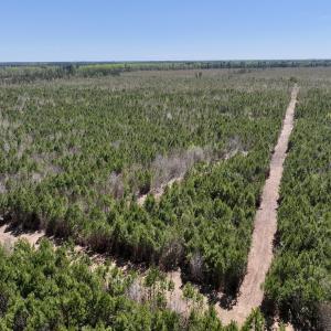 Photo #7 of Lot 11 Guinea Mill Rd, Ernul, NC 35.0 acres