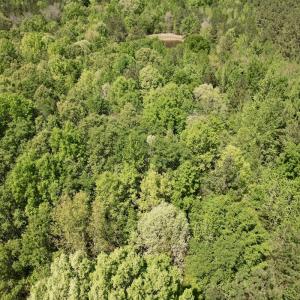 Photo #12 of Off of NC 109, Wadesboro, NC 10.0 acres