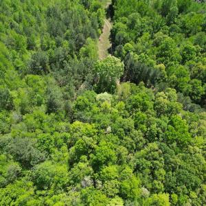 Photo #13 of Off of NC 109, Wadesboro, NC 10.0 acres