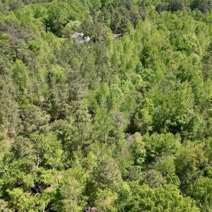 Photo #14 of Off of NC 109, Wadesboro, NC 10.0 acres