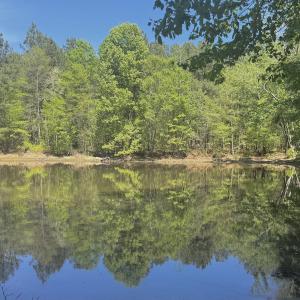 Photo #18 of Off of NC 109, Wadesboro, NC 10.0 acres