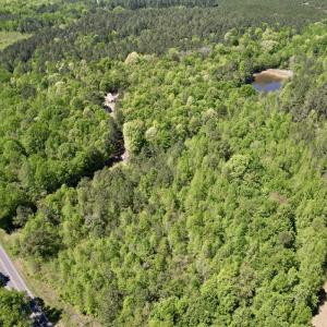 Photo #1 of Off of NC 109, Wadesboro, NC 10.0 acres